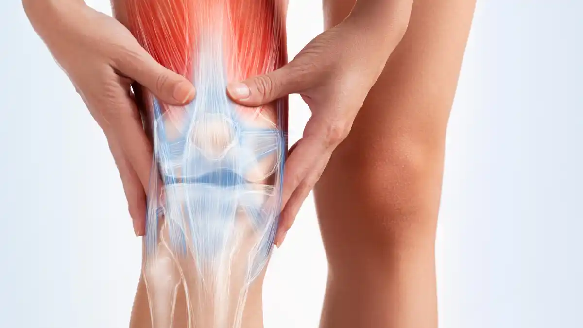 Una correcta rutina de entrenamiento debe contemplar no solo el trabajo muscular, sino también el fortalecimiento de tendones y ligamentos, esenciales para una práctica deportiva segura y duradera/ DeporteGlam