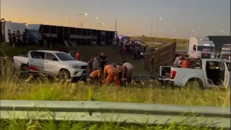 La situación escaló cuando comenzaron a llegar personas con intenciones de faenar a las vacas en el lugar.