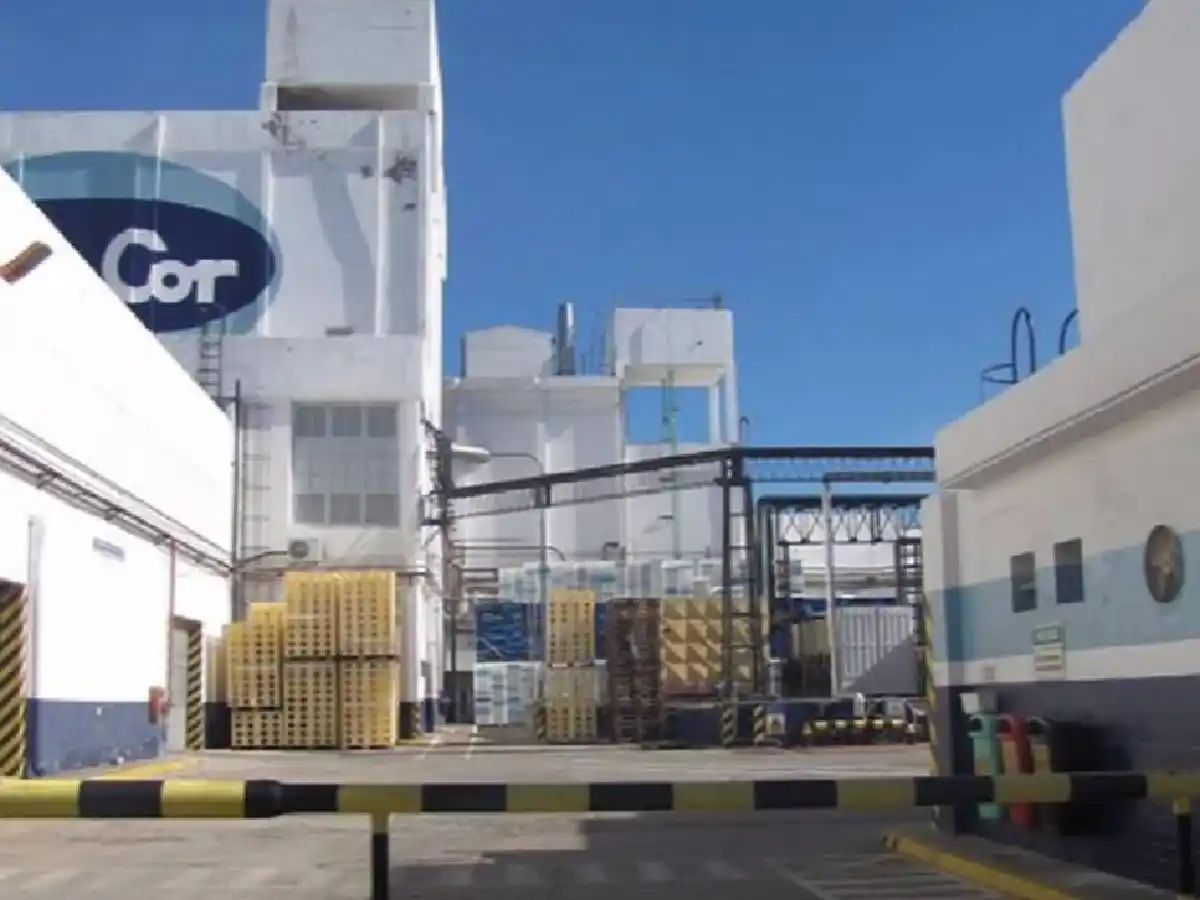 El municiono de Brinkmann avanza en la idea de crear  una cooperativa láctea 