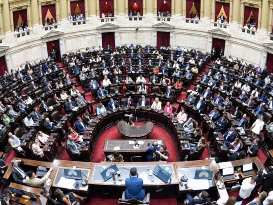El 17 de septiembre, la Cámara de Diputados de la Nación ratificó las leyes de emergencia pediátrica y el financiamiento educativo, luego del veto del presidente Milei. Foto: Archivo.