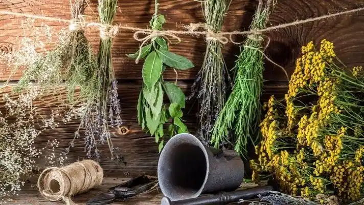 A PREPARARSE PARA RECIBIR EL AÑO NUEVO: cinco baños para atraer el amor, la prosperidad y la buena suerte