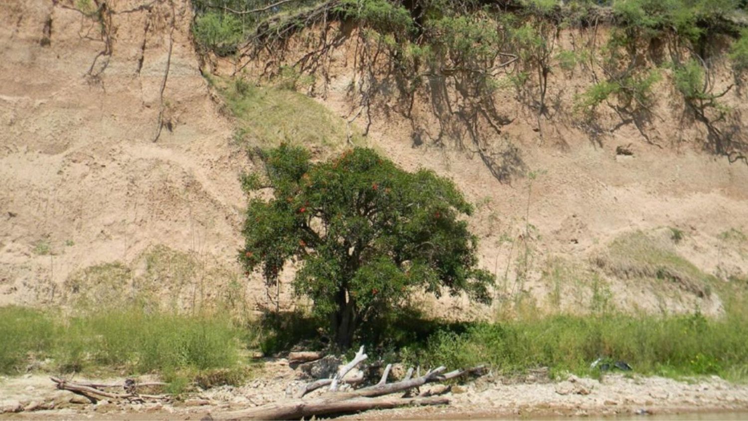 San Lorenzo: se cayó por la barranca y quedó tendido a la vera del río