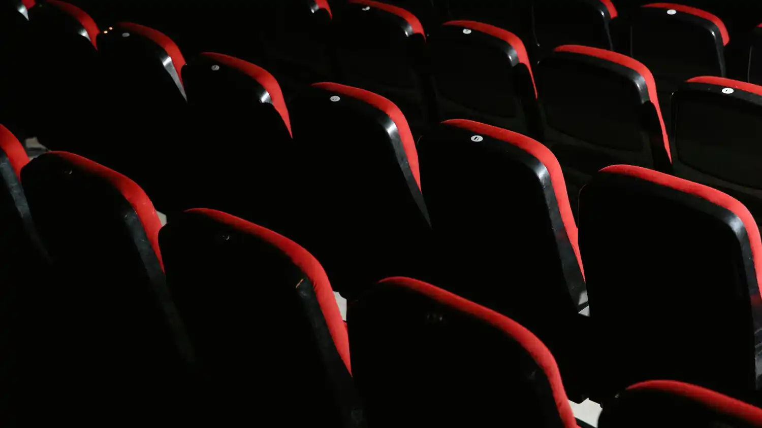 Imagen ilustrativa: Pexels