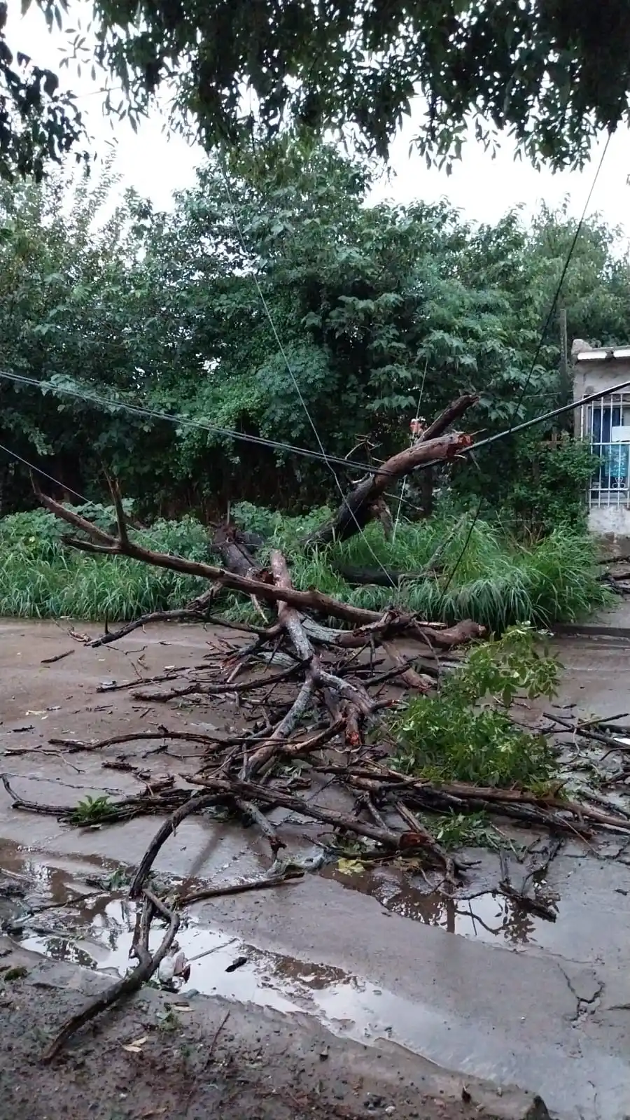 Foto: infordiariosur.com.ar