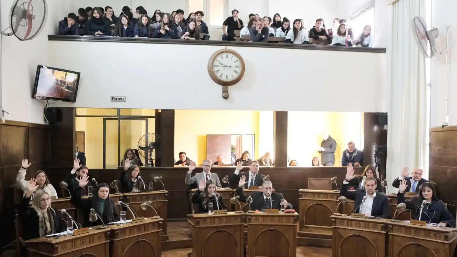 Por unanimidad se aprobó la ordenanza que prohíbe la cría comercial de animales de compañía