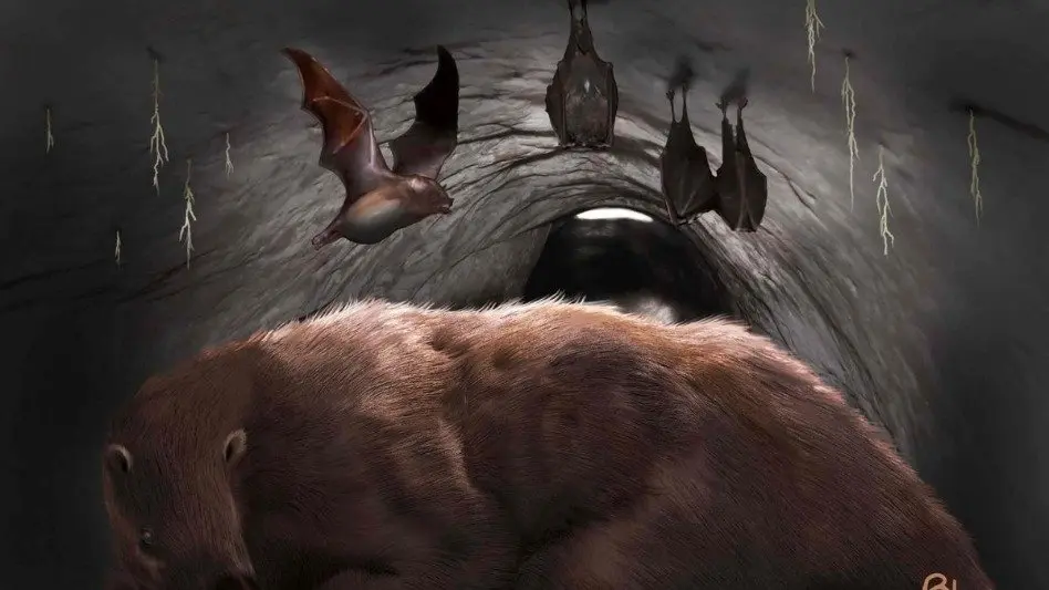 Estudian fósil de un vampiro gigante de 100 mil años cerca de Mar del Sud 