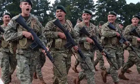 Mirando el 2020: un diagnóstico realista de la defensa argentina