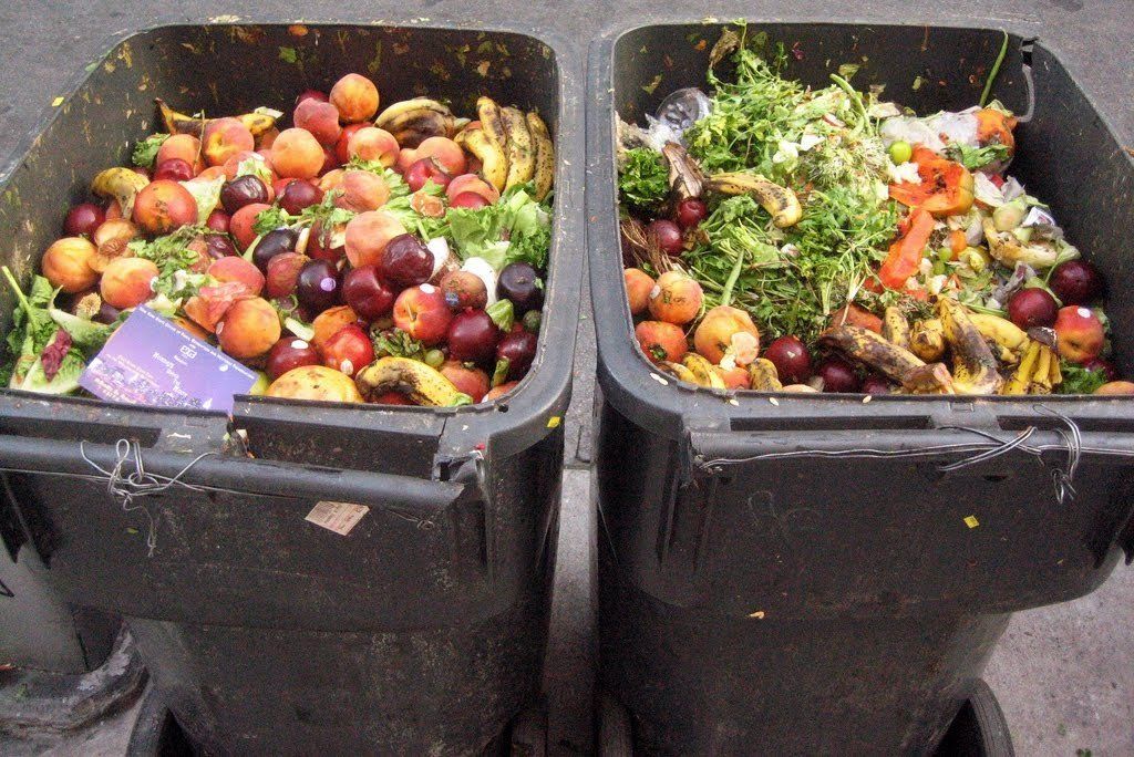 Proponen la creación de un plan provincial de recuperación y donación de alimentos