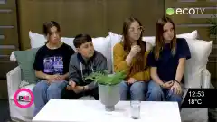 Proyecto de la escuela de Comercio sobre las mariposas