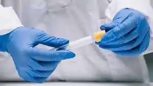 Coronavirus: 7 nuevos positivos, 12 altas y 104 pacientes activos en San Pedro