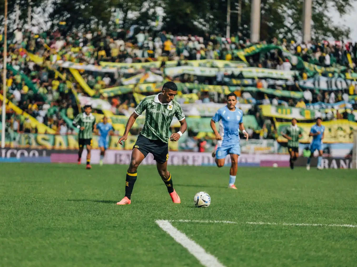 aldosivi