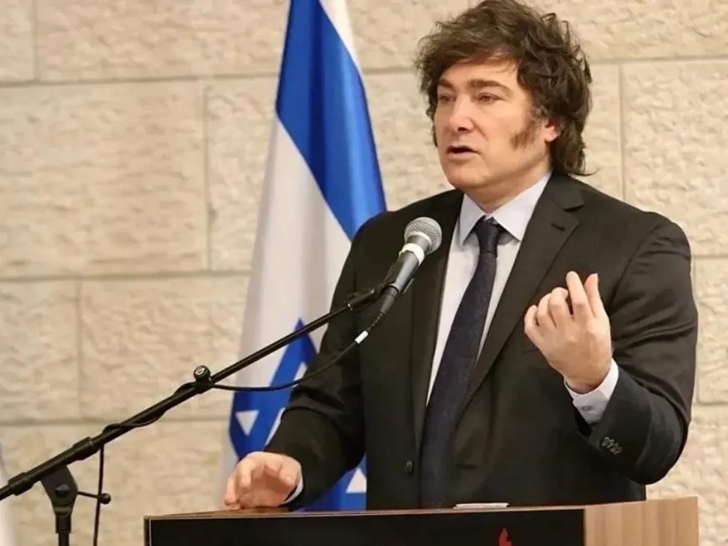 Milei celebró la condena a Cristina Kirchner. Crédito: NA