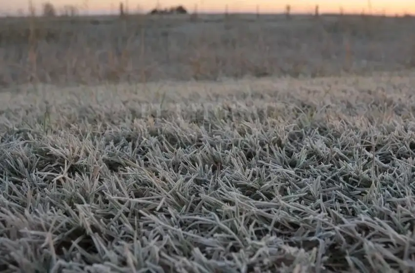 Abril finalizó con 1 a 3 días con temperaturas por debajo de los 3°C.