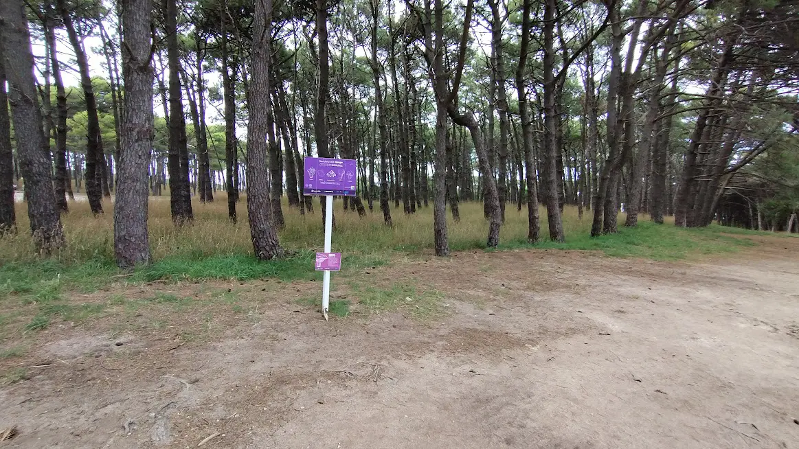 Cartelería. Sendero de hongos en el Parque