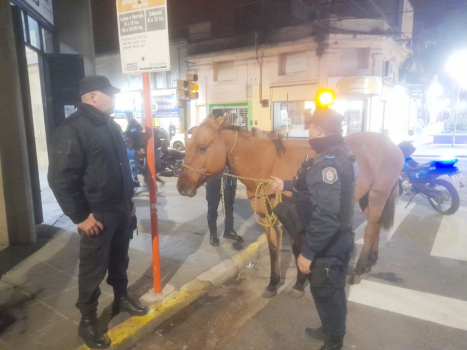 Recuperan tres equinos sueltos en la vía pública