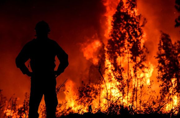Portugal: más de mil bomberos luchan contra un incendio forestal