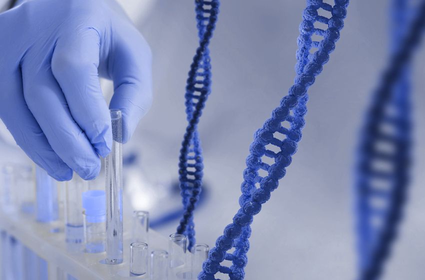 Genética: Cómo mejorar la calidad de vida