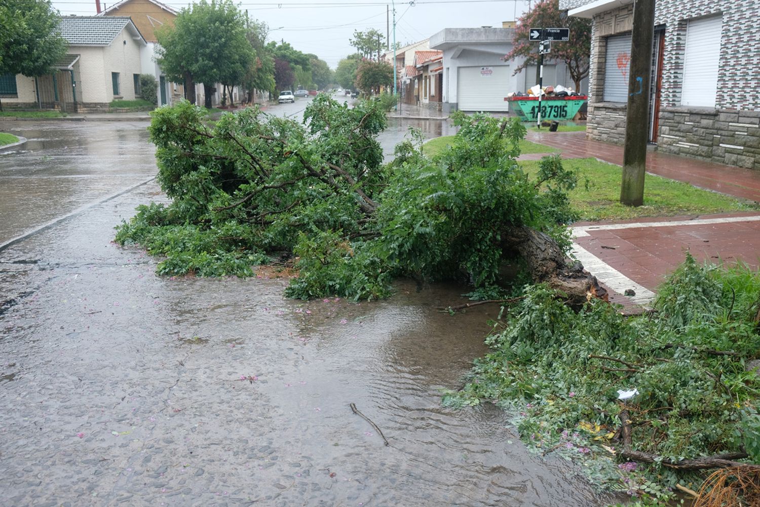 Preocupa la posible caída de arboles y postes si se intensifica el viento
