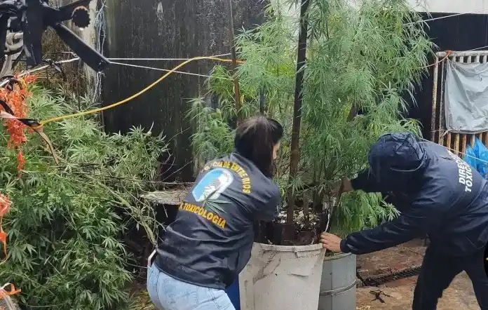 Parecía un accidente, pero podría ser un homicidio: investigan la muerte de una mujer