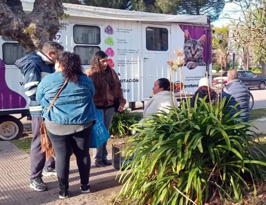 Operativo de castración