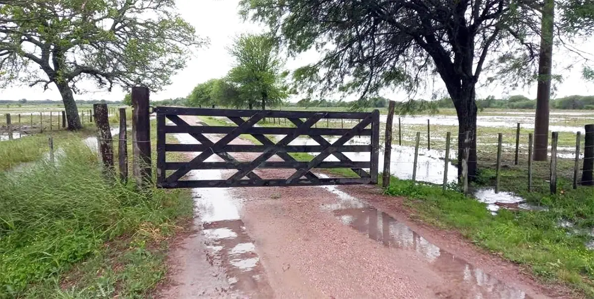 La última lluvia contundente se produjo el pasado 8 de junio, con 32 milímetros