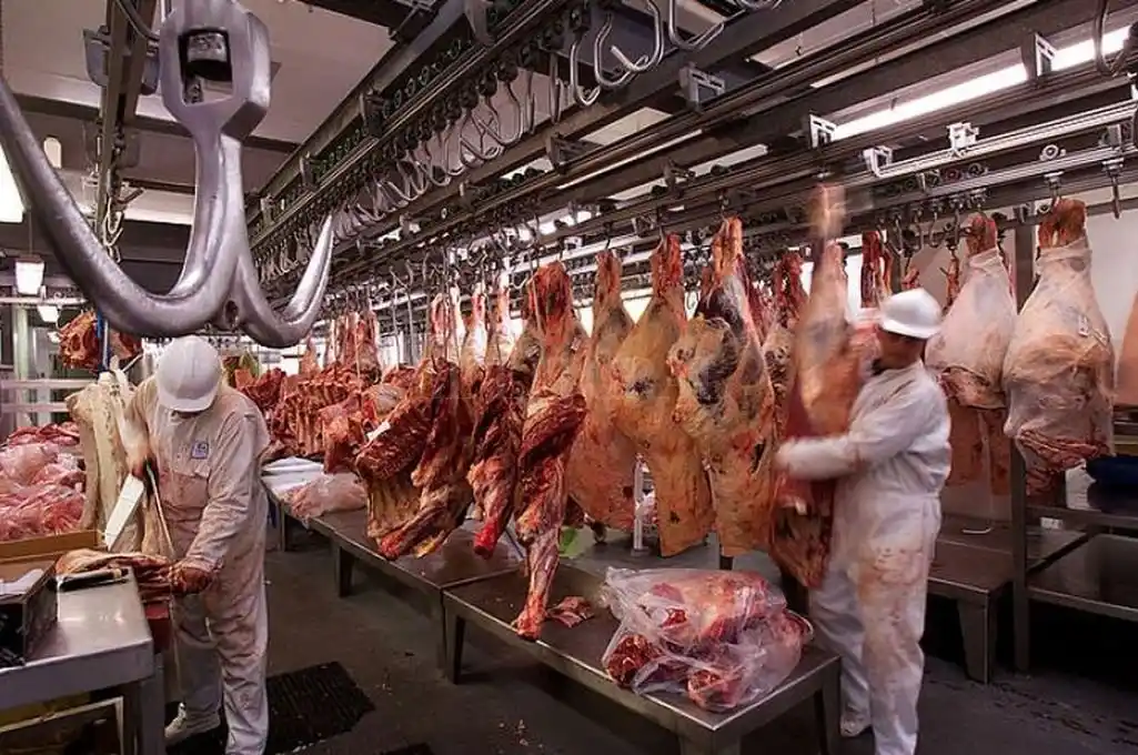 Las cadenas de los granos contra el cepo a las carnes