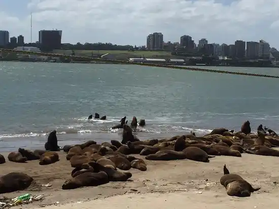 Cerraron el acceso a la Escollera Sur de Mar del Plata.