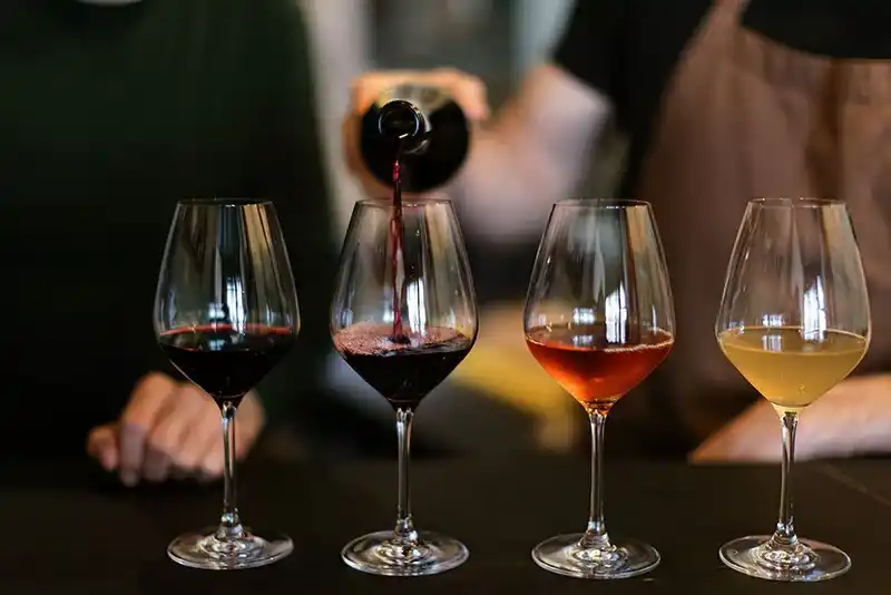 OCASIA: La primera feria de vinos llega a Chascomús con una experiencia sensorial única