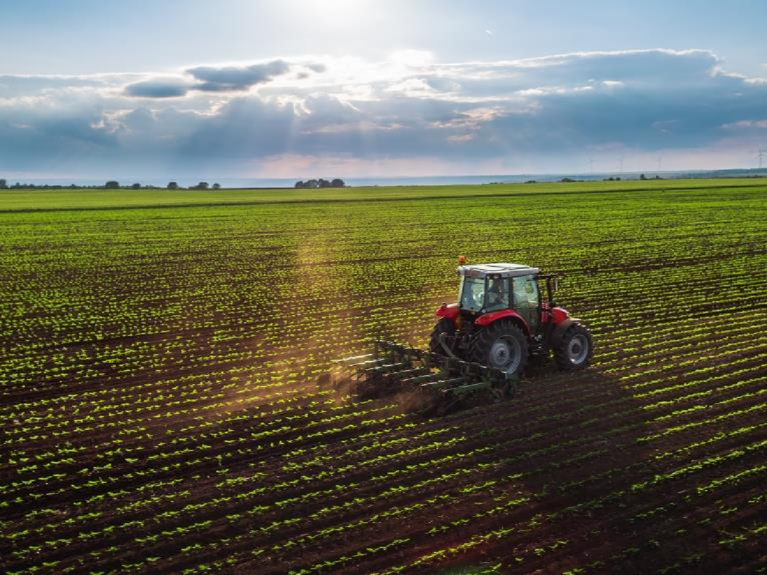 El Norte presenta el innovador Seguro Paramétrico de Sequía, una nueva forma de proteger los cultivos  