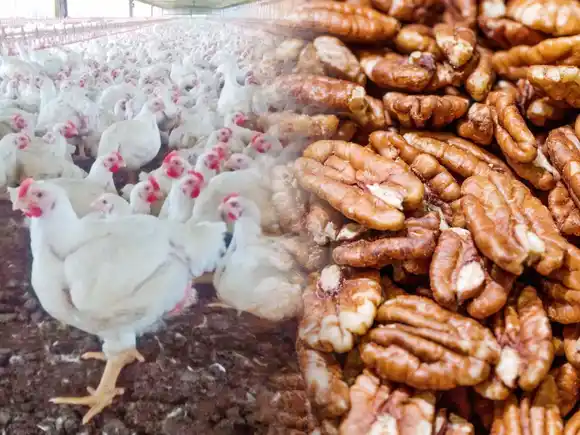 Celebramos la sinergia público-privada que potencia a la entre ríos productiva