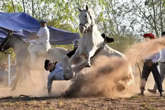 Elevan a juicio una causa por maltrato animal durante una jineteada