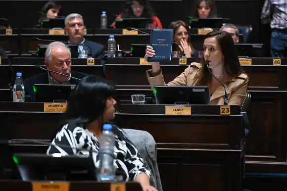 Lucía Iañez diferenció el RIGI de Kicillof con el de Milei: "Uno evita el extractivismo, otro solo beneficia a empresas"