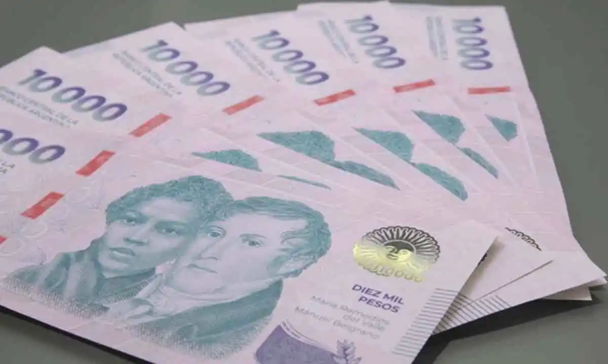 El stock de plazos fijos del sector privado tuvo un retroceso mensual nominal de 2,5% .