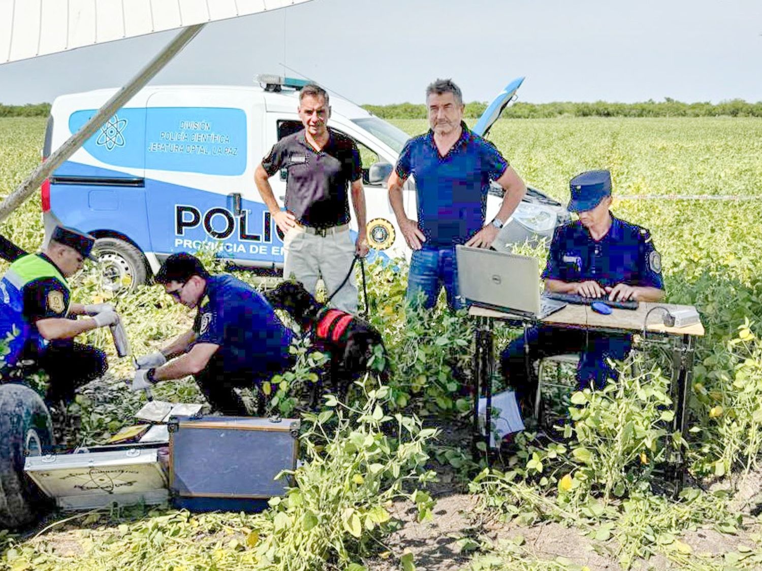 La Policía investiga al avión que fue abandonado en un campo de Entre Ríos