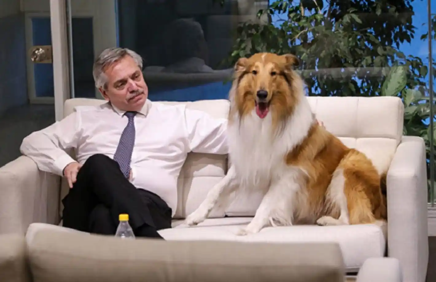 El mensaje de Alberto Fernández a su perro Dylan antes de asumir como Presidente