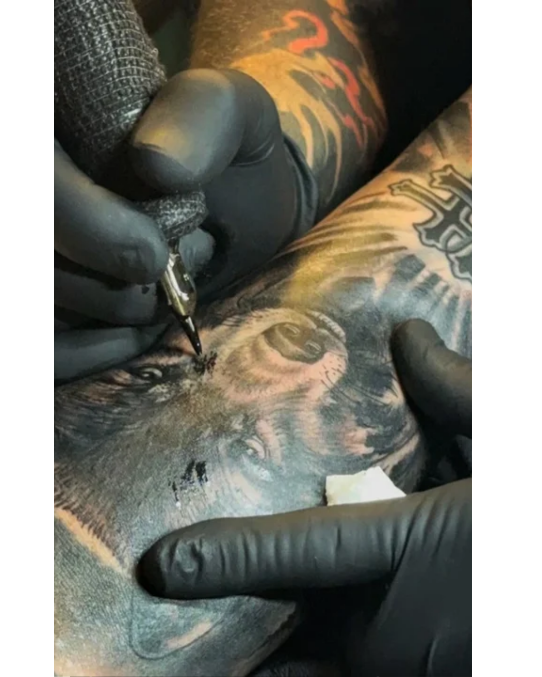 wanda tatu 4