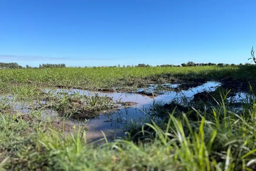 Lluvias extraordinarias frenan la actividad agrícola y encienden alarmas