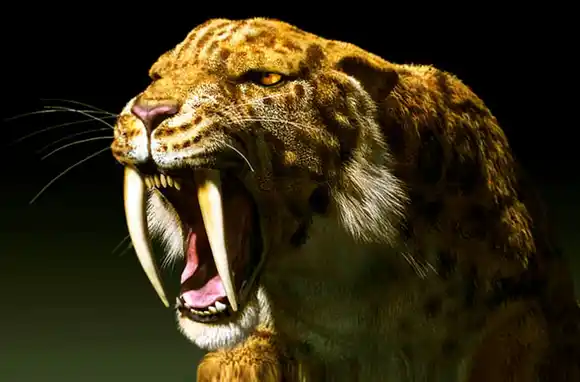 El tigre “dientes de sable” del Pleistoceno, vecino de Miramar