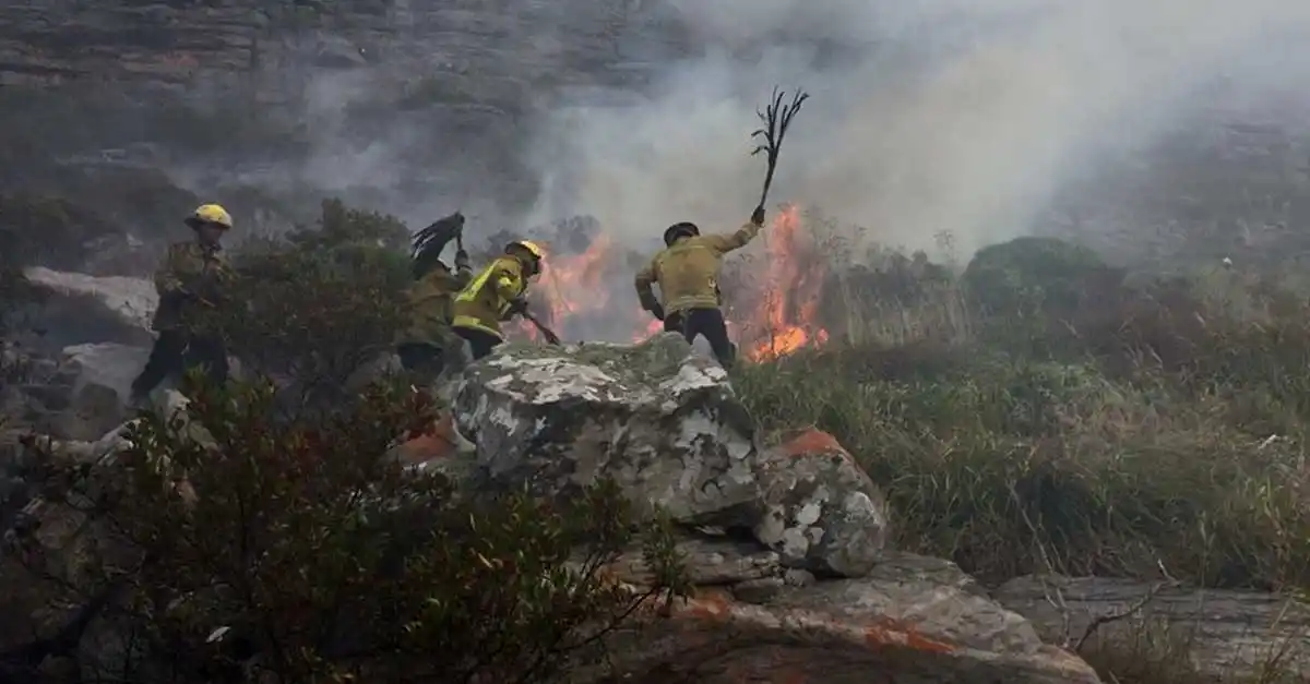 Sierra de los Padres: 7 hectáreas quemadas y creen que fue intencional