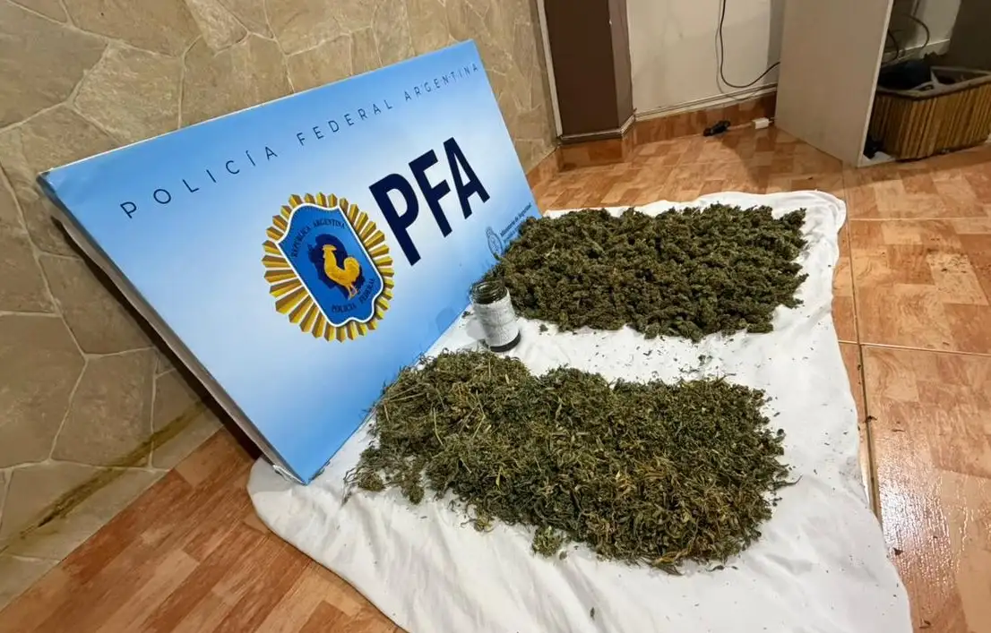 Durante los procedimientos se secuestraron más de seis kilos de marihuana.