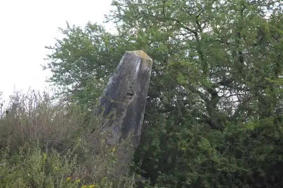 Un mártir del periodismo entrerriano