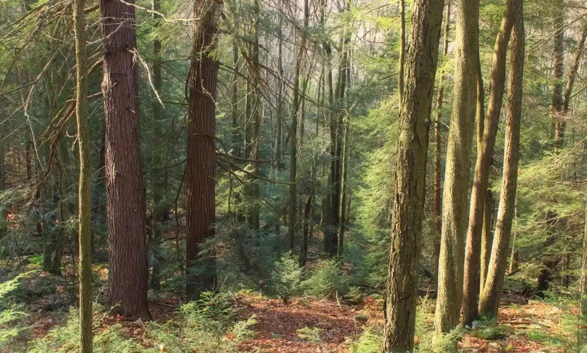 La Asociación Patrimonio Natural de Pilar rechaza Ley Ómnibus de Javier Milei