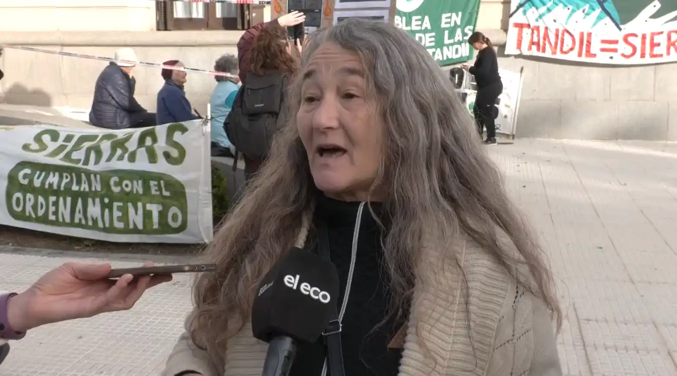 ana fernandez asamblea