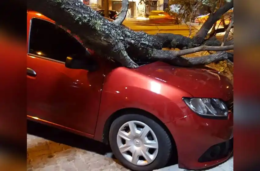 Fuertes ráfagas de viento azotaron a la ciudad durante la noche de este jueves