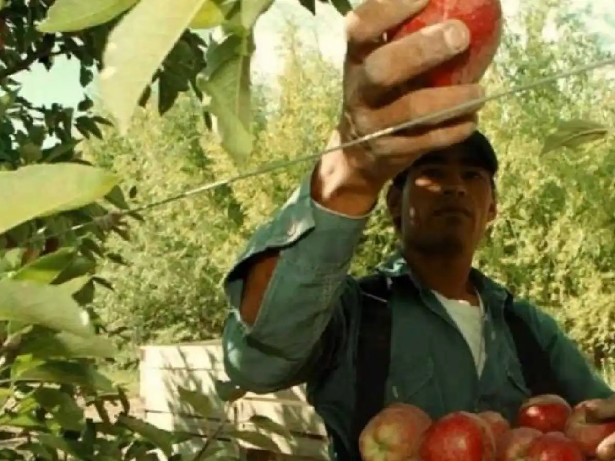 La UATRE cerró un aumento del 28% para los peones de campo