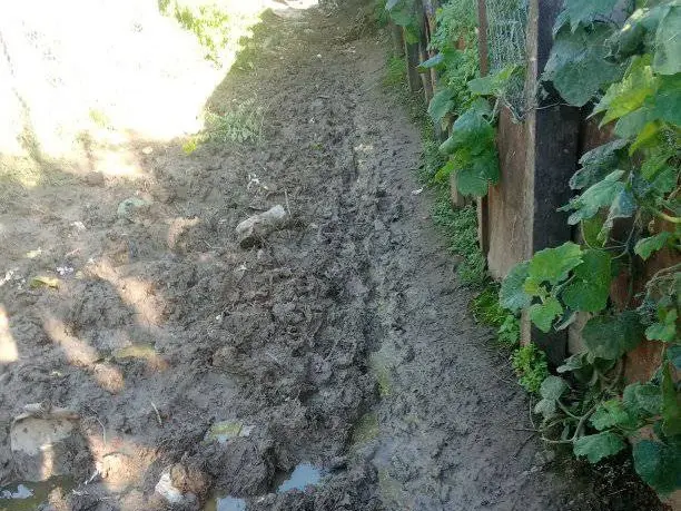 La Tosquera: "Así tengo que llevar a mis nenas a la escuela"