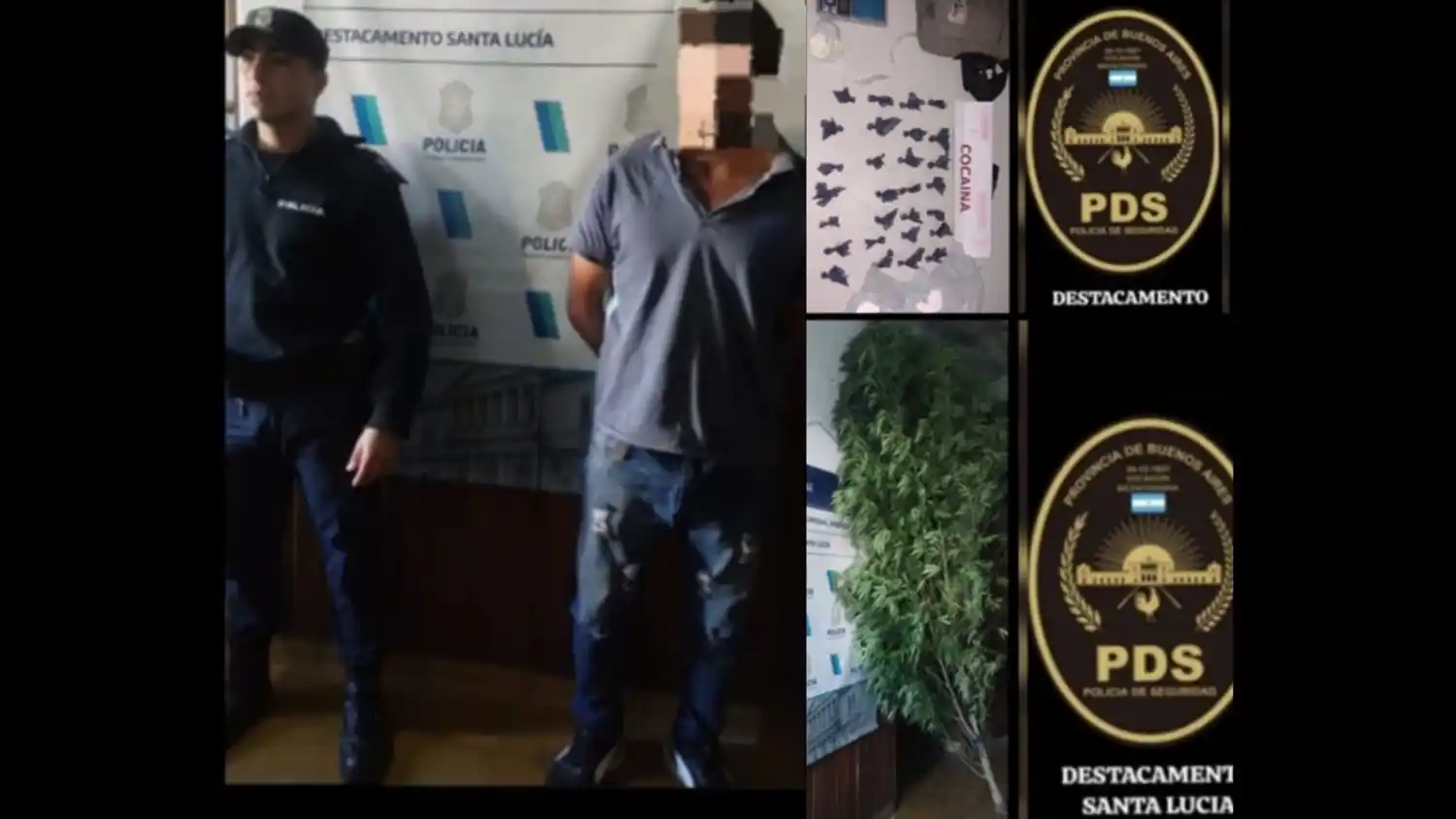 La policía buscaba rastros de un animal pero en Santa Lucía hallaron marihuana.