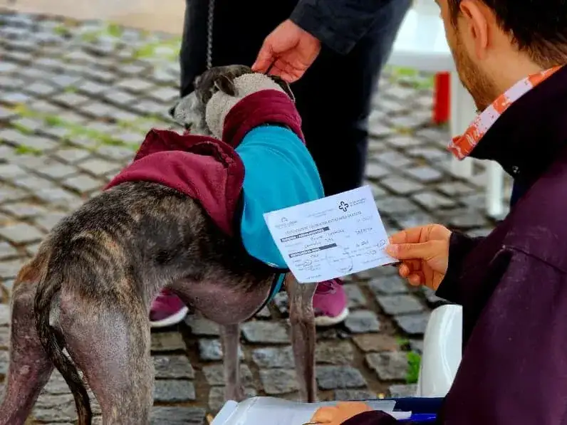 Muchos vecinos se acercaron con sus mascotas a las postas de Bromatología.
