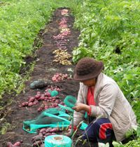  Se realizará el 1er. Ciclo Federal sobre “Mujeres Género y Soberanía Alimentaria” 