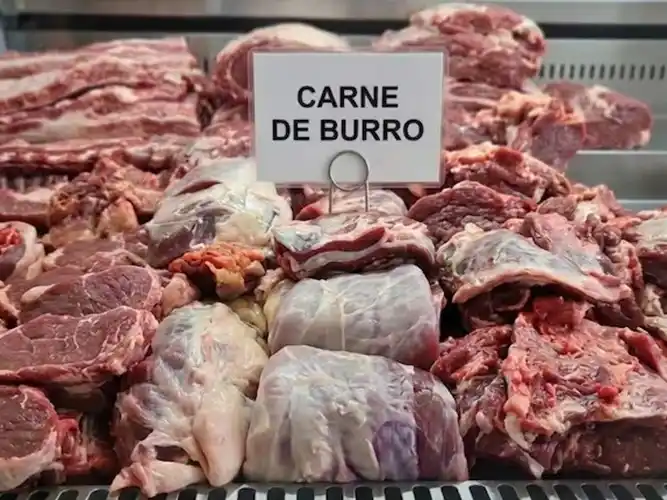 Algunas carnicerías del sur argentino ya ofrecen estos productos.